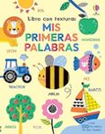 MIS PRIMERAS PALABRAS-18330419-otro-formato