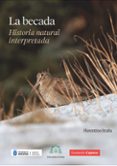 La becada-16744953-otro-formato