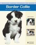 border collie: nuevas guias perros de raza-caterina o sullivan-9788425519475 border collie: nuevas guias perros de raza-caterina o sullivan-9788425519475