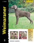 weimaraner-l. harper-9788425513985 weimaraner-l. harper-9788425513985
