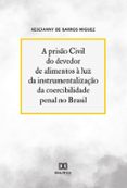 Descargas de libros de texto pdf A PRISÃO CIVIL DO DEVEDOR DE ALIMENTOS À LUZ DA INSTRUMENTALIZAÇÃO DA COERCIBILIDADE PENAL NO BRASIL  (edición en portugués)