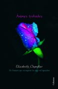animes trobades-elizabeth chandler-9788466415095 animes trobades-elizabeth chandler-9788466415095