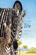 zefir, la petita zebra en perill-nadine jacobs-9788484701095 zefir, la petita zebra en perill-nadine jacobs-9788484701095