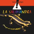 la salamandra (fauna en peligro)-9788498254495 la salamandra (fauna en peligro)-9788498254495
