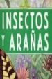 insectos y arañas (guias gigantes)-9783833110115 insectos y arañas (guias gigantes) 9783833110115