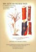 sin azucar no hay pais: la industria azucarera y la economia cuba na (1919-1939)-9788447207015 sin azucar no hay pais: la industria azucarera y la economia cuba na (1919 1939) 9788447207015