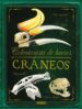 craneos-9788467738285 craneos 9788467738285