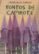 tontos de capirote (9ª ed.)-francisco robles-9788496210325 tontos de capirote (9ª ed.) francisco robles 9788496210325