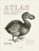 atlas para curiosos insaciables-piotr wilkowiecki-michal gaszynki-9788408182245 atlas para curiosos insaciables piotr wilkowiecki michal gaszynki 9788408182245