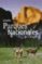 grandes parques nacionales del mundo-angela s. ildos-giorgio bardelli-9788466211185 grandes parques nacionales del mundo angela s. ildos giorgio bardelli 9788466211185