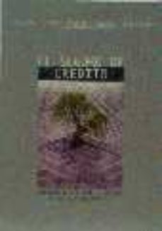 Portada de EL SEGURO DE CREDITO: UNA HERRAMIENTA PARA LA GESTION DE RIESGOS COMERCIALES