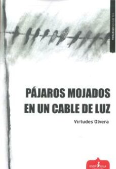 Descargas de libros de audio mp3 gratis PÁJAROS MOJADOS EN UN CABLE DE LUZ de VIRTUDES OLVERA 