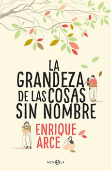 Buenos libros para descargar en iphone LA GRANDEZA DE LAS COSAS SIN NOMBRE PDF RTF in Spanish