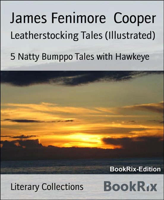 Or the Inland Sea Leatherstocking Tale The Pathfinder