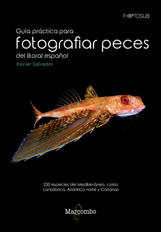 GUIA PRACTICA PARA FOTOGRAFIAR PECES DEL LITORAL ESPAÑOL 230 ESPECIES DEL MEDITERRANEO, COSTA GUIA PRACTICA PARA FOTOGRAFIAR PECES DEL LITORAL ESPAÑOL 230 ESPECIES DEL MEDITERRANEO, COSTA